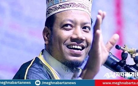 ‘বিস্ফোরক’ মন্তব্যের পর ক্ষমা চাইলেন আমির হামজা