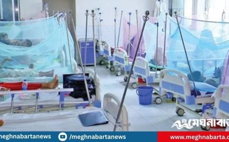 ডেঙ্গুতে একদিনে ১২ জনের মৃত্যু