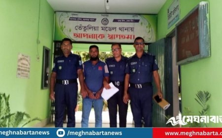 ধর্ষণের পর মাদ্রাসাছাত্রী অন্তঃসত্ত্বা, অভিযুক্ত ‘জামায়াত কর্মী’ গ্রেফতার