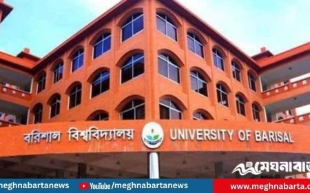 বরিশাল বিশ্ববিদ্যালয় ভিসির মেয়ে ভর্তি হলেন পোষ্য কোটায়, সমালোচনার ঝড়