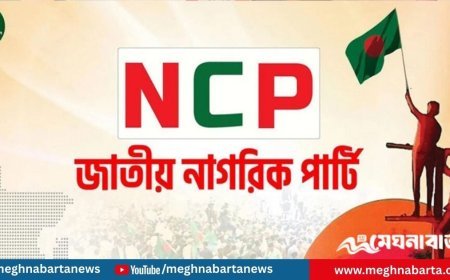 শাপলা প্রতীক পাচ্ছে না এনসিপি; বিকল্প প্রতীকে আবেদনের আহ্বান