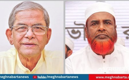 মির্জা ফখরুলের বক্তব্য অসত্য, প্রমাণ দেওয়ার আহ্বান জামায়াতের