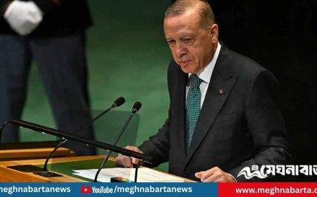 গাজায় যুদ্ধ নয়, চলছে গণহত্যা: জাতিসংঘে এরদোয়ান