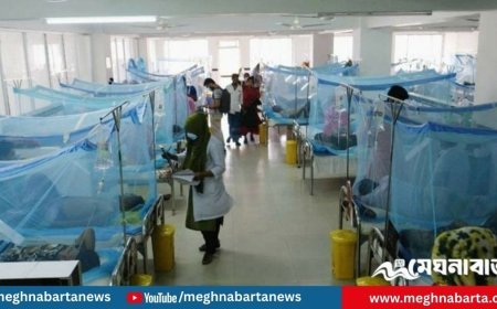 ডেঙ্গুতে আরও পাঁচজনের মৃত্যু