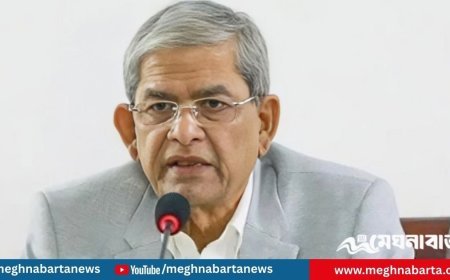ফেব্রুয়ারিতেই নির্বাচন, প্রধান উপদেষ্টাও সহযোগিতা করছেন : মির্জা ফখরুল