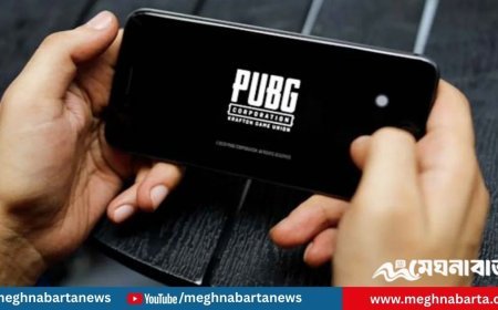 পাবজির প্রভাবে পরিবারের ৪ জনকে হত্যা,  কিশোরের ১০০ বছরের কারাদণ্ড