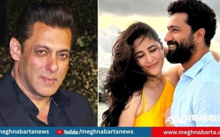 মা হচ্ছেন ক্যাটরিনা, পোস্ট করে মুছে ফেললেন সালমান!