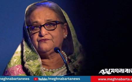 শেখ হাসিনার পরিবার ও ১০ শিল্প গোষ্ঠীর ৫৭ হাজার কোটি টাকার সম্পদ জব্দ