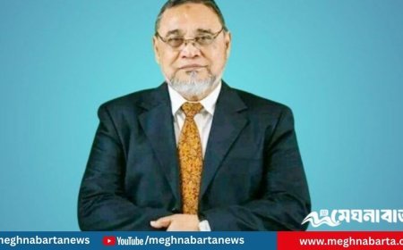 এনসিপির শাপলা প্রতীক অন্তর্ভুক্ত করা নিয়ে চিঠি পেয়েছি : সিইসি