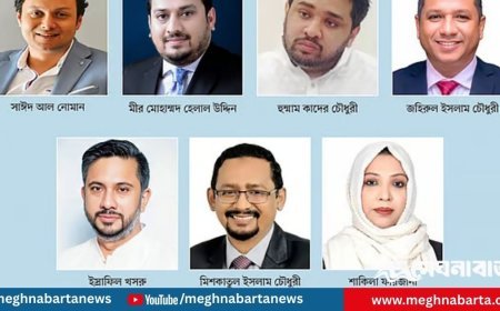 সংসদ সদস্য হতে বাবার পথে হাঁটছে যারা