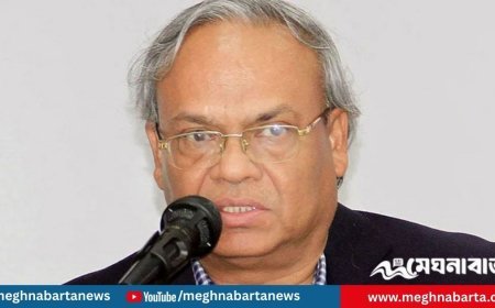 জামায়াত আ.লীগের সঙ্গে কাজ করছে: রিজভী