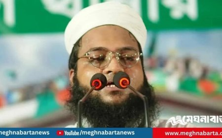 ‘নিখোঁজ’ বৈষম্যবিরোধী নেতা মামুন ৫ দিন পর পূর্বাচল থেকে উদ্ধার