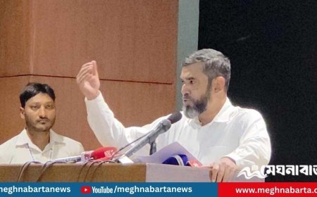 জুলাই আন্দোলনের প্রধান কারণ ছিল পঁচা নির্বাচন : ইসি সানাউল্লাহ