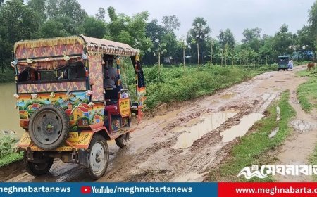 সংস্কারের অভাবে গ্রামীণ সড়ক যেন মরণফাঁদ