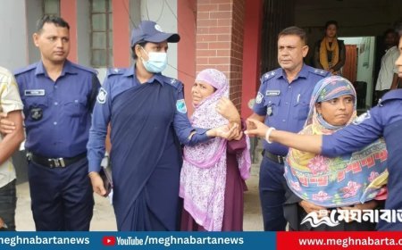 শিশু তাইয়েবা হত্যা : প্রধান আসামি চাচিসহ ২ জন রিমান্ডে