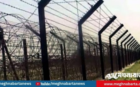 ভারতে আটক ১৫ বাংলাদেশিকে বিজিবির কাছে হস্তান্তর