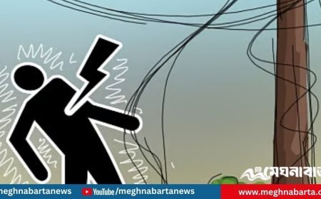 খুঁটি থেকে তার টেনে সংযোগ নেওয়ার চেষ্টা, বিদ্যুৎস্পৃষ্টে দুই ভাইয়ের মৃত্যু
