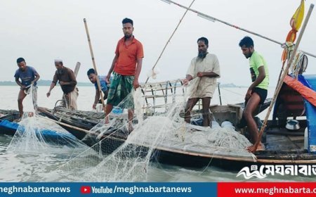 ইলিশ ধরায় ২২ দিনের নিষেধাজ্ঞা