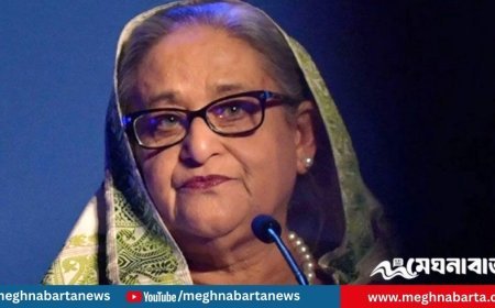 শেখ হাসিনার সঙ্গে যোগাযোগ, বন্ধ হচ্ছে দুটি অ্যাপ