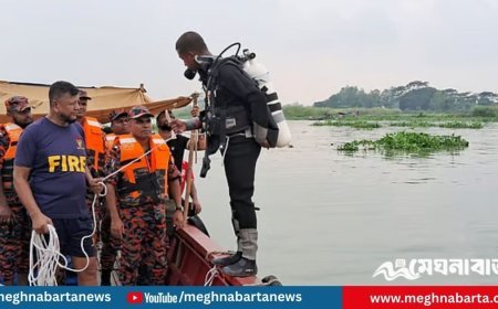 মেঘনায় বালুবাহী বাল্কহেডের ধাক্কায় জেলেদের নৌকাডুবি, একজন নিখোঁজ