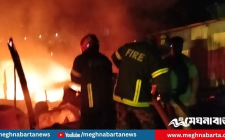 প্লাস্টিক কারখানাসহ ছয়টি প্রতিষ্ঠান পুড়ে ছাই