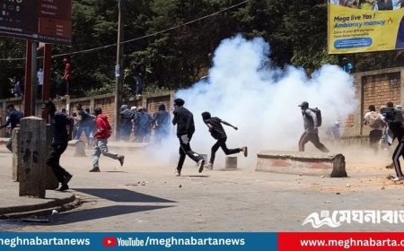 জেন-জি বিক্ষোভের মুখে মাদাগাস্কারের সরকার পতন