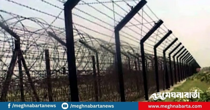 সাতক্ষীরা সীমান্তে ১৪ বাংলাদেশিকে হস্তান্তর করল বিএসএফ