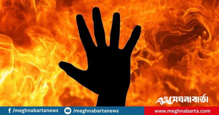 সম্পর্ক বিচ্ছিন্ন করায় প্রেমিকাকে জ্যান্ত পুড়িয়ে হত্যা