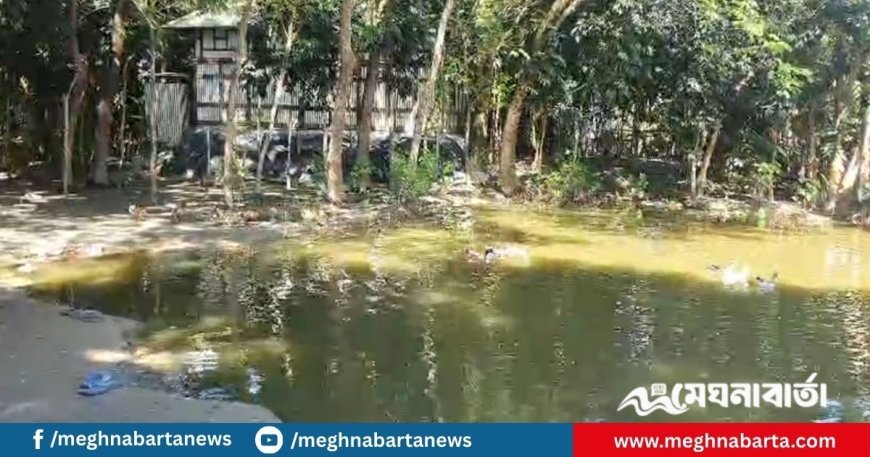 পুকুরে ডুবে দুই শিশুর মৃত্যু