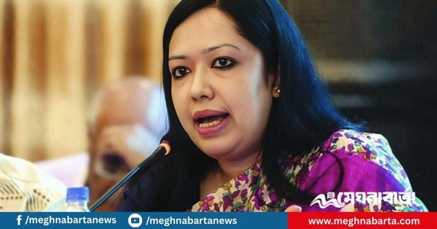 কাগজ কলমে কোনো রাজনৈতিক দলকে নিষিদ্ধ করা যায় না : রুমিন ফারহানা