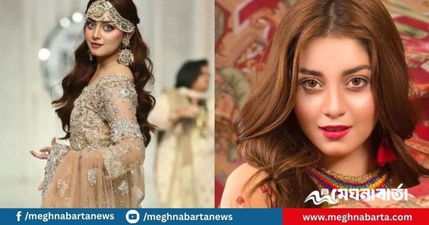 হেনস্তার শিকার, অভিনয় ছাড়ার ঘোষণা দিলেন আলিজাহ
