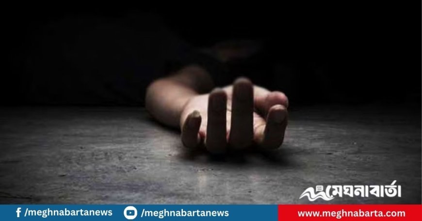 নেত্রকোনায় পাল্টাপাল্টি হামলায় জোড়া খুন