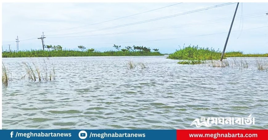এবার হাওরে বিশ্ববিদ্যালয়