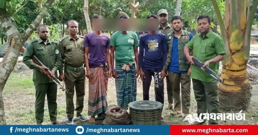বিনা পাসে সুন্দরবনে প্রবেশ, কাঁকড়াসহ আটক ৩