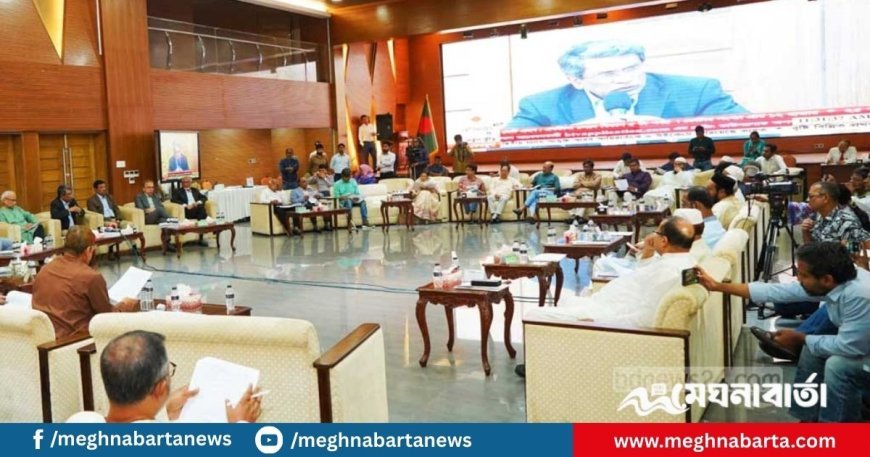 জুলাই সনদ: কমিশন দলগুলোকে কিছু চাপিয়ে দেবে না, বলছেন আলী রীয়াজ