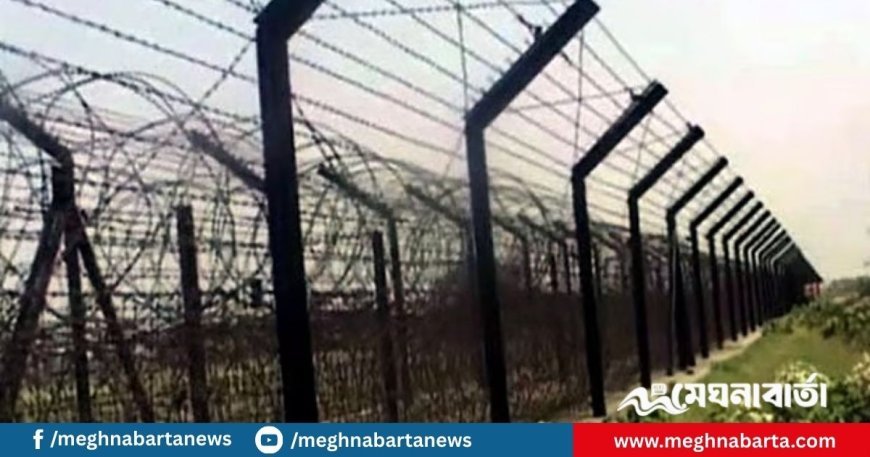 সাতক্ষীরার সীমান্ত দিয়ে ১০ বাংলাদেশি হস্তান্তর