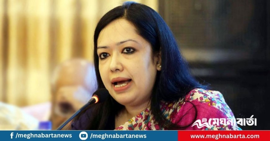 দেশে বিনিয়োগ কমছে, মব বাড়ছে : রুমিন ফারহানা