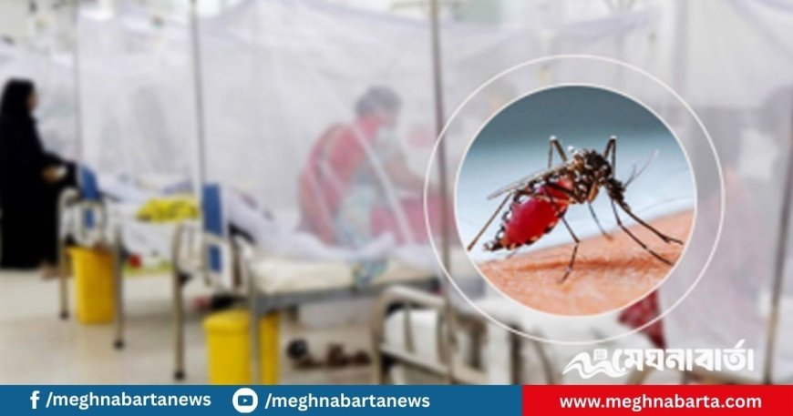 ডেঙ্গুতে আরও ৩ জনের মৃত্যু, ৬৮৫ জন হাসপাতালে