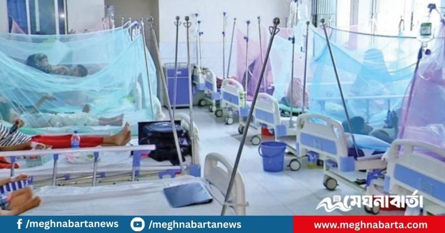 ডেঙ্গুতে একদিনে ১২ জনের মৃত্যু