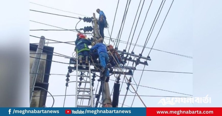 বিদ্যুতায়িত হয়ে খুঁটির মাথায় আটকে ছিলেন পল্লী বিদ্যুতের কর্মী