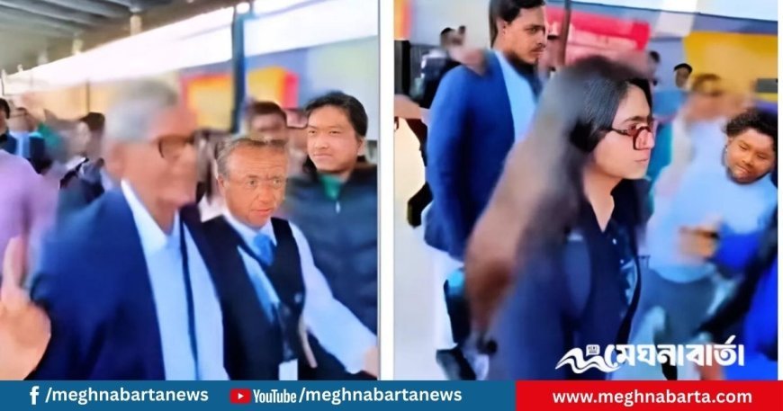 নাম ধরে ডাকা হয় মির্জা ফখরুলকে, অশ্লীল গালি তাসনিম জারাকে