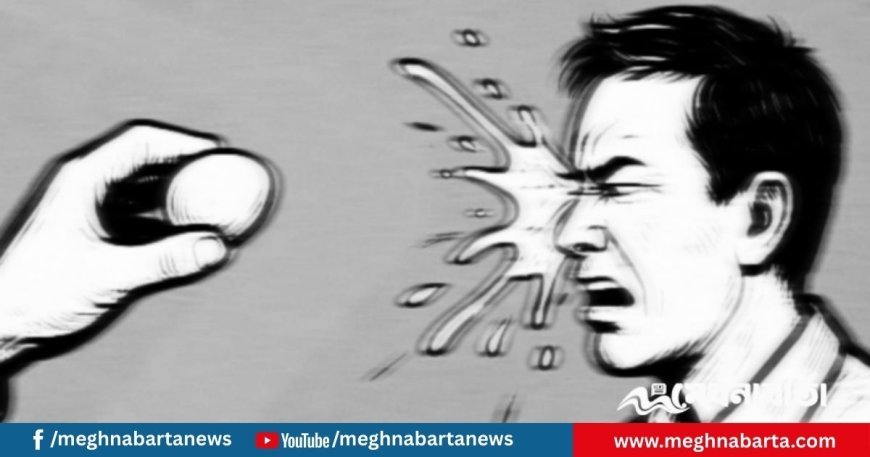 প্রতিবাদ জানাতে ডিম ছোঁড়া হয় কেন? জানুন ইতিহাস