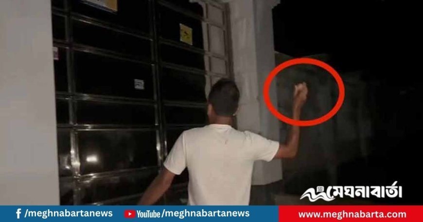 যুক্তরাষ্ট্রপ্রবাসী আ. লীগ নেতা জাহিদের বাড়িতে ডিম নিক্ষেপ