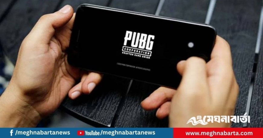 পাবজির প্রভাবে পরিবারের ৪ জনকে হত্যা, কিশোরের ১০০ বছরের কারাদণ্ড
