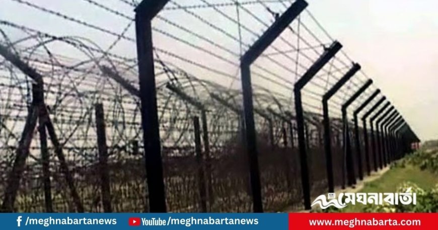 ভারতে আটক ১৫ বাংলাদেশিকে বিজিবির কাছে হস্তান্তর