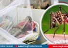 ডেঙ্গুতে আরও ৫ জনের মৃত্যু