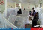 ডেঙ্গুতে আরও ৪ জনের মৃত্যু, এ বছর প্রাণহানি ২৫৯ ছাড়াল