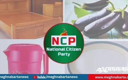 শুধু থালাবাটি নয়, এনসিপির জন্য আছে লাউ-বেগুন-কলাসহ ৫০ প্রতীক