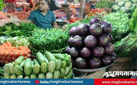 বৃষ্টির প্রভাব বাজারে : বাড়তি দামে সবজি, কাঁচামরিচ ৪০০