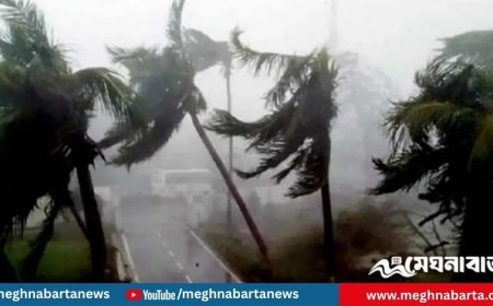 দুপুরের মধ্যে যেসব জেলায় হতে পারে ঝড়বৃষ্টি